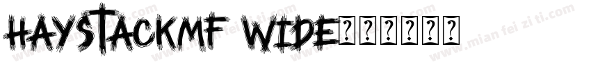 HayStackMF Wide字体转换